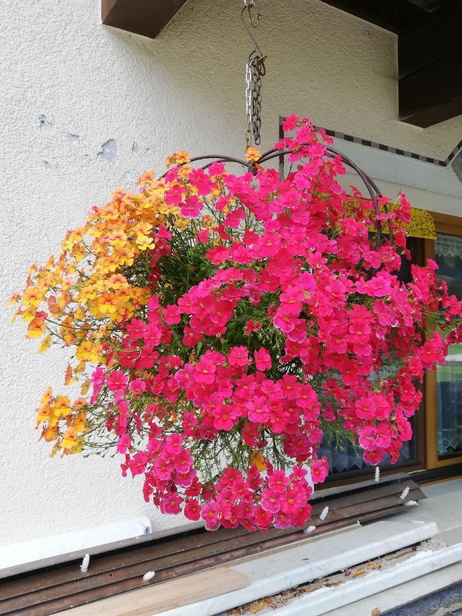 Hotel Haus Seppi Neukirchen am Großvenediger Zewnętrze zdjęcie