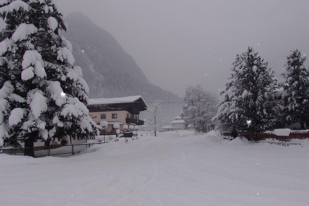 Hotel Haus Seppi Neukirchen am Großvenediger Zewnętrze zdjęcie