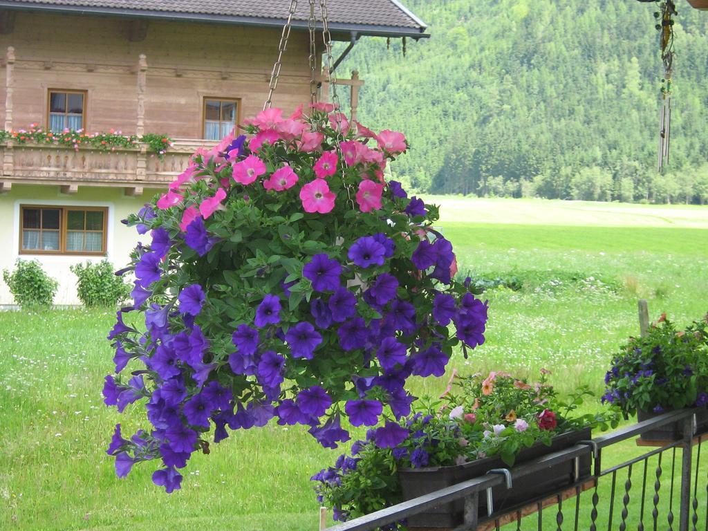 Hotel Haus Seppi Neukirchen am Großvenediger Zewnętrze zdjęcie